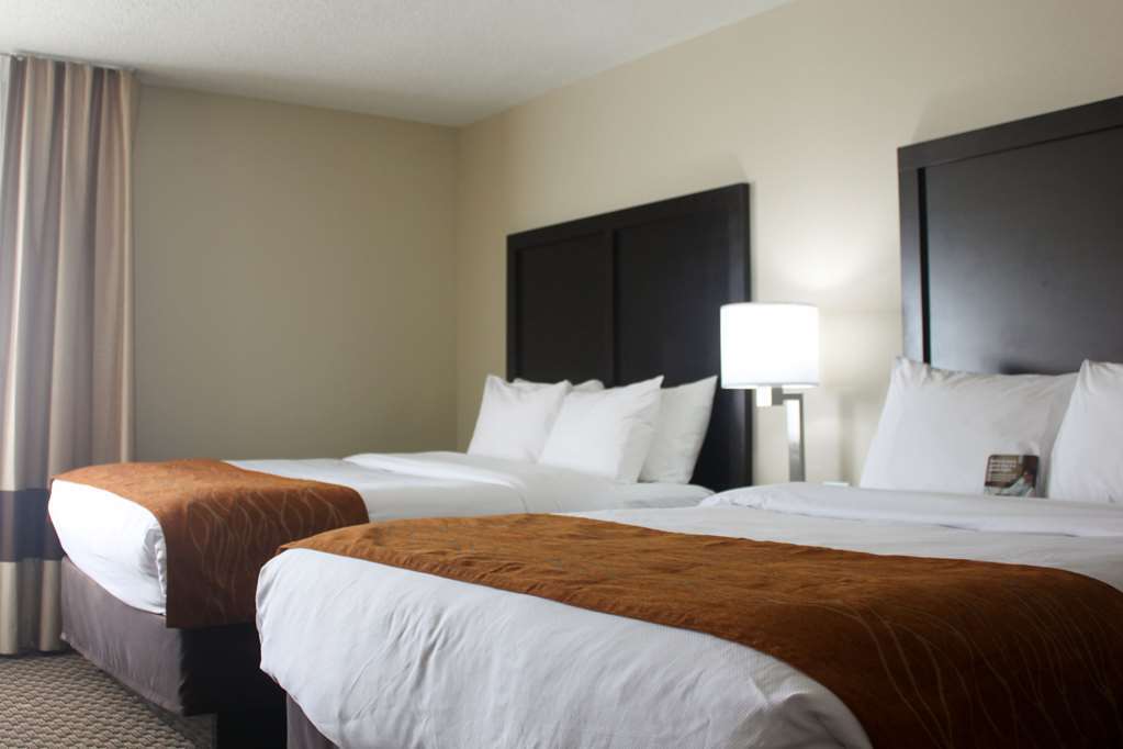 Comfort Inn Matteson - Chicago Phòng bức ảnh